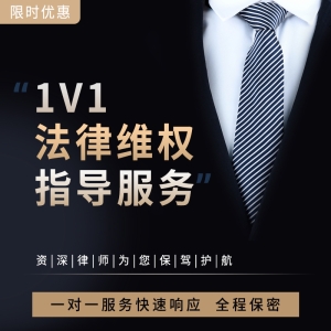 1V1法律维权指导服务